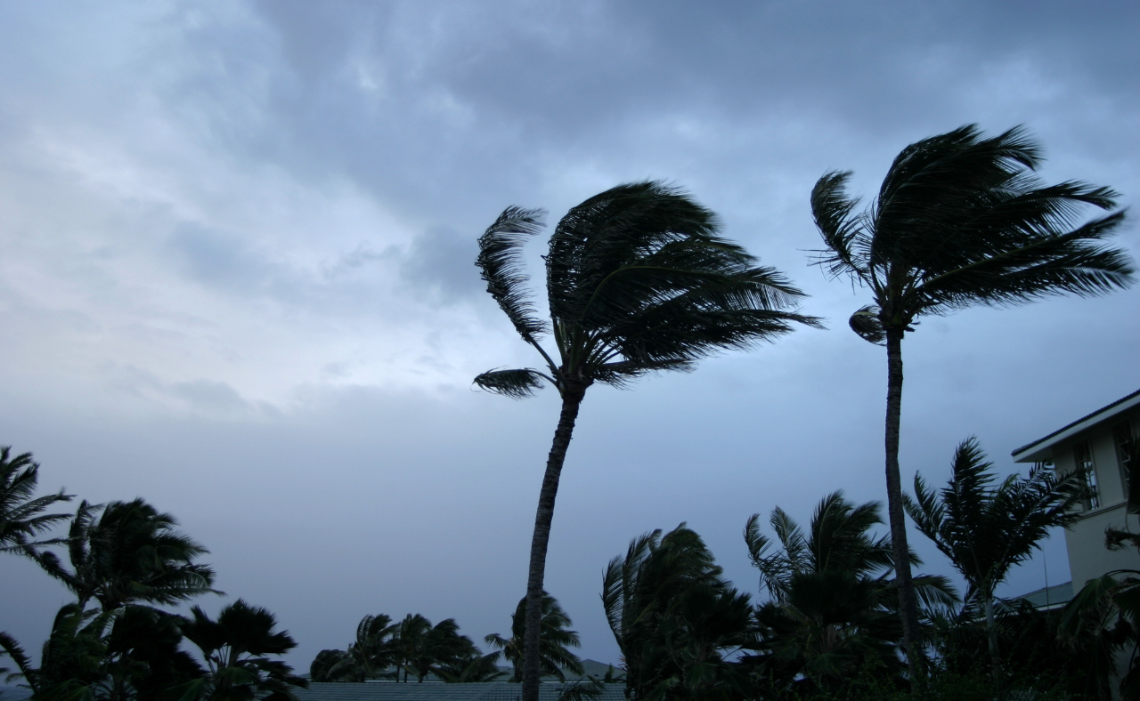 Is Your Home Ready for Hurricane Season? A Sarasota Homeowner’s Guide